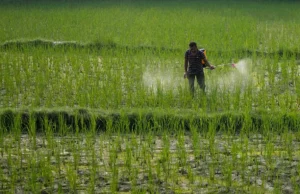 Μελέτη συνδέει την έκθεση σε γεωργικά φυτοφάρμακα με τον κίνδυνο καρκίνου