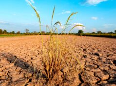 Έρχεται το σούπερ Ελ Νίνιο – Τι είναι, γιατί απειλεί να εκτινάξει τις τιμές τροφίμων