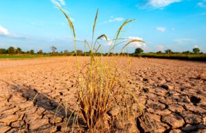 Έρχεται το σούπερ Ελ Νίνιο – Τι είναι, γιατί απειλεί να εκτινάξει τις τιμές τροφίμων