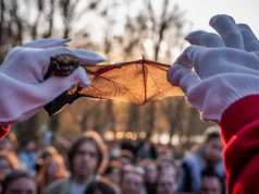 «Η ζωή συνεχίζεται»: Ουκρανοί παίρνουν ανάσα απελευθερώνοντας νυχτερίδες που σώθηκαν από τον πόλεμο