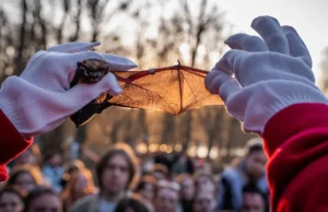 «Η ζωή συνεχίζεται»: Ουκρανοί παίρνουν ανάσα απελευθερώνοντας νυχτερίδες που σώθηκαν από τον πόλεμο