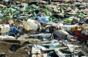 Αργεντινή: Από μια χωματερή στη Γη του Πυρός εκτιμάται ότι ξεκίνησε ο χανταϊός