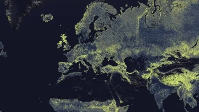 fungal-map