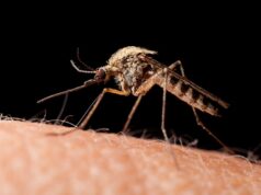 Γιατί το να ξύνετε τα τσιμπήματα των κουνουπιών δεν είναι καλή ιδέα