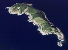 Το απαγορευμένο «Νησί των Φιδιών»: Ένας απομονωμένος κόσμος όπου κυριαρχούν οι χρυσαφένιες οχιές