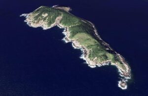 Το απαγορευμένο «Νησί των Φιδιών»: Ένας απομονωμένος κόσμος όπου κυριαρχούν οι χρυσαφένιες οχιές