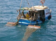 Η Ανατολική Μεσόγειος εκπέμπει SOS