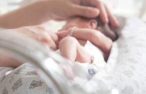 Κατεψυγμένα έμβρυα: Τι συμβαίνει όταν η ζωή επιστρέφει μετά από δεκαετίες