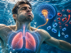 Science in 60 Seconds: Τι συμβαίνει στο σώμα όταν κρατάμε την αναπνοή μας;