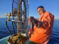 Η Oceana χαιρετίζει το «Όραμα 2040» για μια πιο διαφανή και ανθεκτική ευρωπαϊκή αλιεία